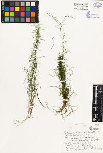 SW_BNB_s3080-04042_IMG-0000000001