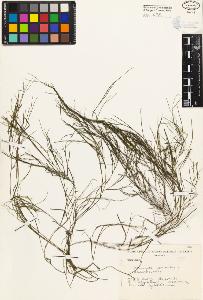 SW_BNB_s3080-04043_IMG-0000000001