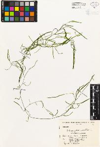 SW_BNB_s3080-04046_IMG-0000000001
