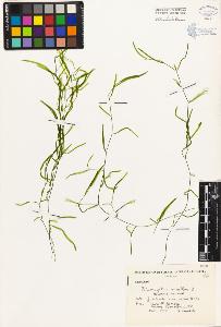 SW_BNB_s3080-04047_IMG-0000000001