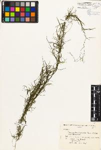 SW_BNB_s3080-04048_IMG-0000000001
