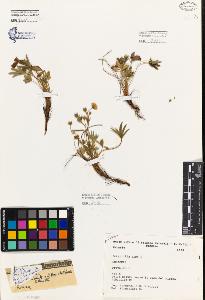 SW_BNB_s3080-04050_IMG-0000000001