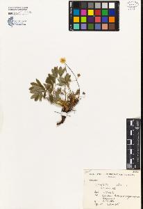 SW_BNB_s3080-04051_IMG-0000000001