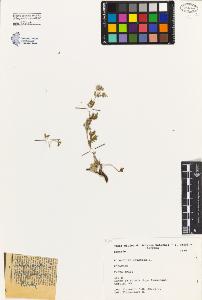 SW_BNB_s3080-04052_IMG-0000000001