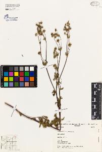 SW_BNB_s3080-04072_IMG-0000000001