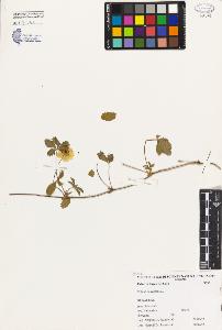 SW_BNB_s3080-04073_IMG-0000000001