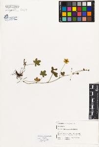 SW_BNB_s3080-04074_IMG-0000000001