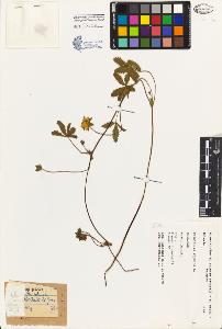 SW_BNB_s3080-04076_IMG-0000000001