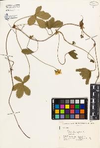 SW_BNB_s3080-04078_IMG-0000000001