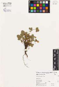 SW_BNB_s3080-04080_IMG-0000000001