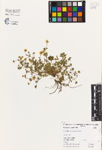 SW_BNB_s3080-04082_IMG-0000000001