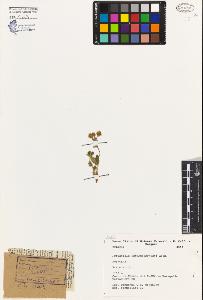 SW_BNB_s3080-04084_IMG-0000000001