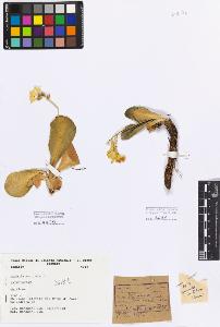 SW_BNB_s3080-04091_IMG-0000000001