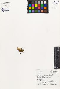 SW_BNB_s3080-04096_IMG-0000000001