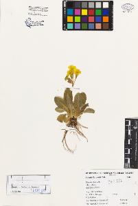 SW_BNB_s3080-04100_IMG-0000000001
