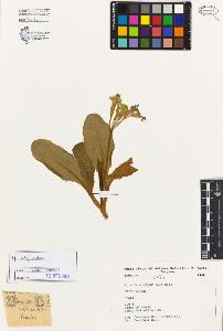 SW_BNB_s3080-04101_IMG-0000000001