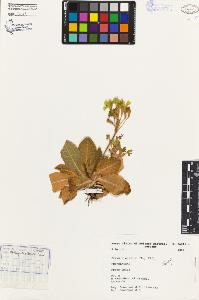 SW_BNB_s3080-04104_IMG-0000000001