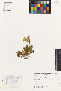 SW_BNB_s3080-04105_IMG-0000000001