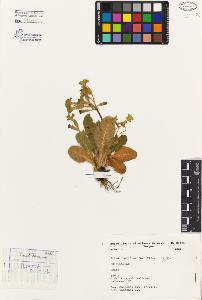 SW_BNB_s3080-04106_IMG-0000000001
