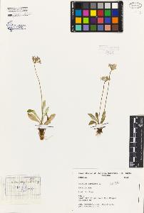 SW_BNB_s3080-04109_IMG-0000000001