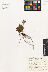 SW_BNB_s3080-04111_IMG-0000000001