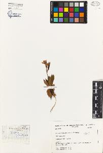 SW_BNB_s3080-04114_IMG-0000000001