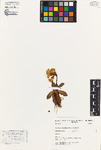 SW_BNB_s3080-04115_IMG-0000000001