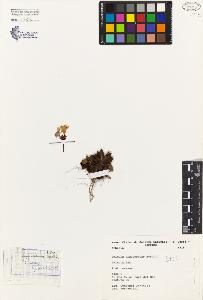 SW_BNB_s3080-04116_IMG-0000000001