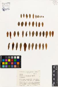 SW_BNB_s3080-04119_IMG-0000000001