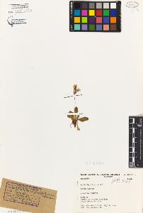SW_BNB_s3080-04124_IMG-0000000001