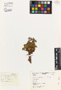 SW_BNB_s3080-04127_IMG-0000000001