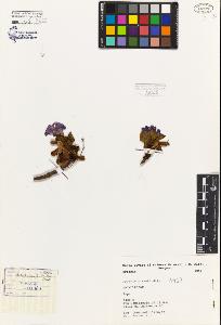SW_BNB_s3080-04128_IMG-0000000001