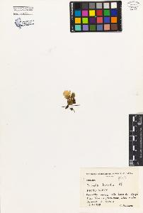SW_BNB_s3080-04129_IMG-0000000001