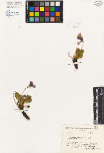 SW_BNB_s3080-04132_IMG-0000000001