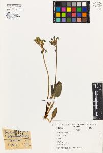 SW_BNB_s3080-04136_IMG-0000000001