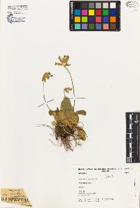 SW_BNB_s3080-04137_IMG-0000000001