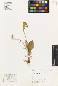 SW_BNB_s3080-04139_IMG-0000000001