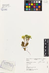SW_BNB_s3080-04143_IMG-0000000001