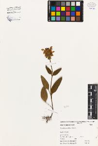 SW_BNB_s3080-04148_IMG-0000000001