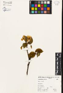 SW_BNB_s3080-04151_IMG-0000000001