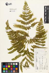 SW_BNB_s3080-04163_IMG-0000000001