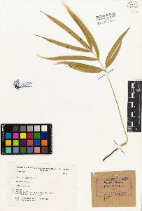 SW_BNB_s3080-04166_IMG-0000000001