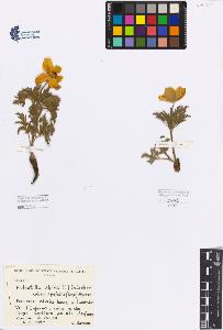 SW_BNB_s3080-04171_IMG-0000000001
