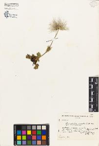 SW_BNB_s3080-04177_IMG-0000000001