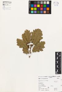 SW_BNB_s3080-04191_IMG-0000000001