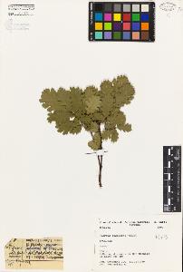 SW_BNB_s3080-04192_IMG-0000000001