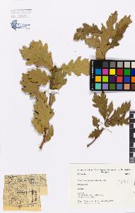 SW_BNB_s3080-04195_IMG-0000000001