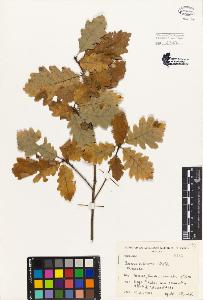SW_BNB_s3080-04196_IMG-0000000001
