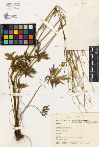 SW_BNB_s3080-04203_IMG-0000000001