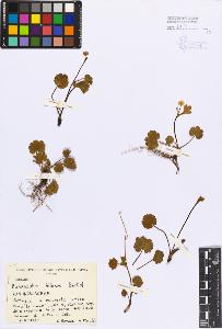 SW_BNB_s3080-04209_IMG-0000000001